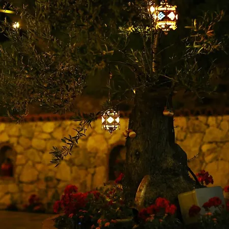 Kazdaglari Zeytunihan Butik Hotel