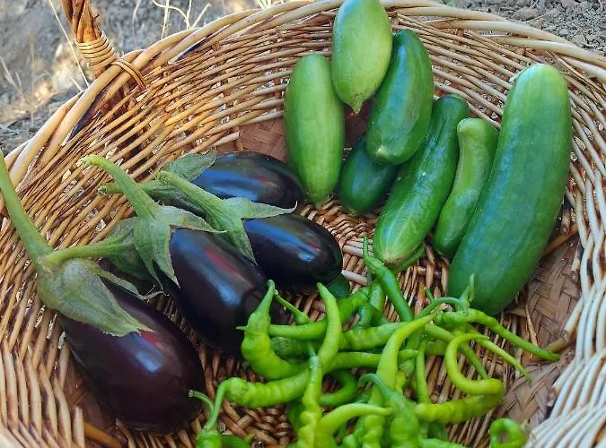 Hotel Kazdaglari Zeytunihan Butik