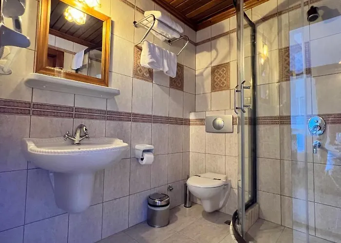 Hotel Kazdaglari Zeytunihan Butik *