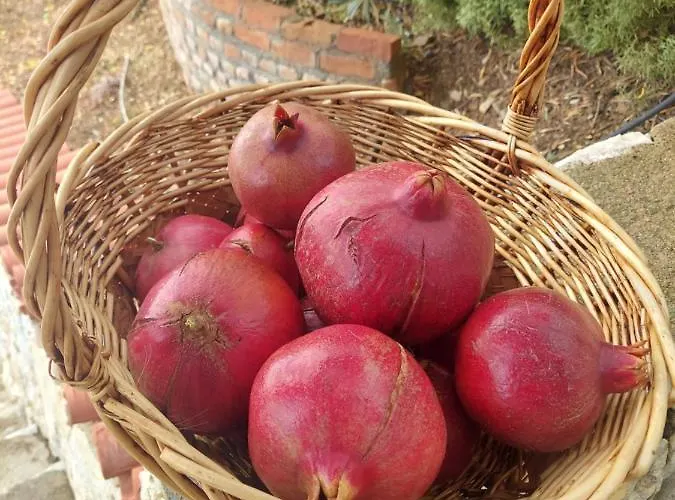 Kazdaglari Zeytunihan Butik *