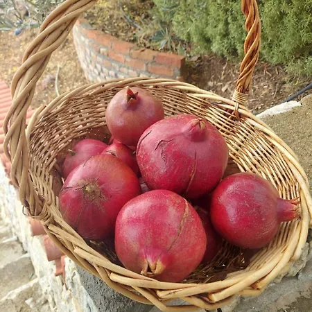 Kazdaglari Zeytunihan Butik *